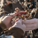 Featured image placeholder 16:9